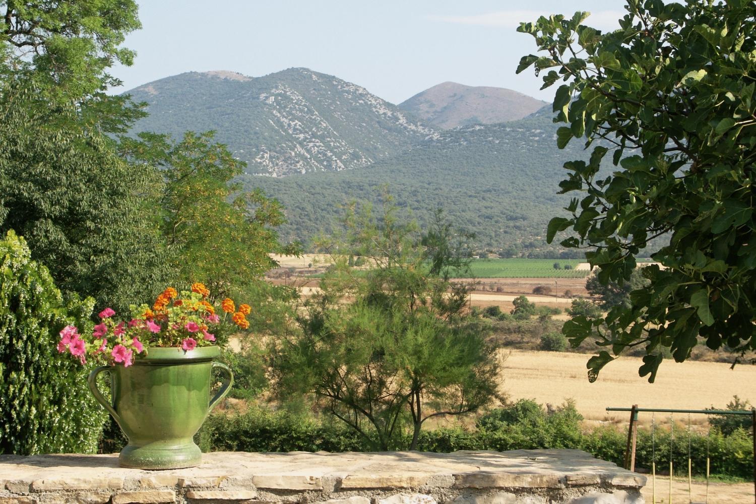 Domaine De Blancardy Hotel Moulès-et-Baucels Kültér fotó
